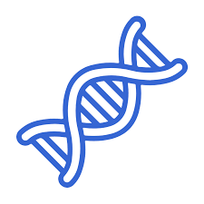 Spatial Transcriptomics & Systems Biology